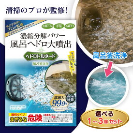 ヘドロトルネード 風呂釜洗浄 プロ仕様 風呂釜洗浄剤 風呂 お風呂 風呂釜 リベルタ Liberta 1つ穴 追い焚き 追い焚き配管洗浄剤 配管洗浄剤 洗剤 追い焚き洗浄 洗浄 選べる1~3個セット