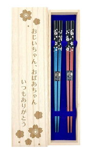 vwyԁiEԁjz fUC˔EbsOt c c c  ΂  ΂  ΂ hV̓ hV  j a C