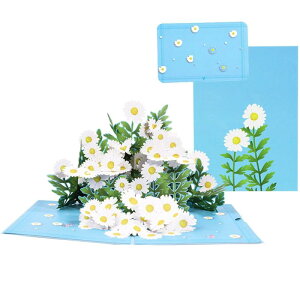 moin moin ���b�Z�[�W �J�[�h �O���[�f�B���O�J�[�h �Ԕ� �ԑ� �q�i�M�N �~�j�J�[�h �Z�b�g 2409me345