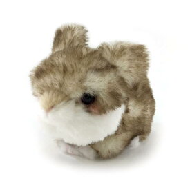 キュート販売 ぬいぐるみ こうさぎ