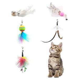 L炵 L  zՎ ނƒet ˂LVїpi XgX VR̉H_t {[o^tC L̂D݂炵A^sAL̂ቮLp