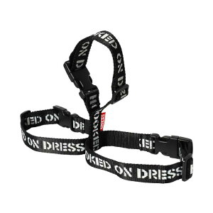 hX(DRESS) EF[_[ nK[   C u[c   [ ނ ȒP  Cp x 