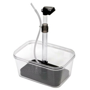 `CX F.cube Gt.L[u vX GAtg ʃtB^[