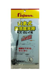 tW(FUJIWARA) R{ xV L