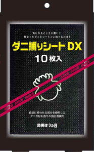 TO-PLAN(gv) _j߂V[g DX ԂɃ_j쏜