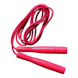 RNTC ȂƂ g[jO ؃g _CGbg gri WCWv sN J8121