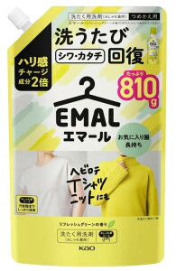 G}[ n`[W2{z􂤂уVJ^` tbVO[̍ ߂p  t tbVO[̍ lߑւ810ml x1܁yꒅ 