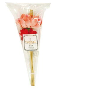 SIGNAL VOi t[fBt[U[p[hXeBbNtB(ԕt) _A