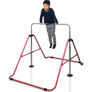 RiZKiZ S_  q ܂肽ݓS_ ω׏d100kg SG}[N ƒp g[jO qǂ tオ Ԃ牺 Ăڂ K ܂ j̎q ̎q ۈ牀 ct wZ V