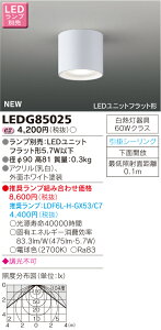 LEDG85025 ���� ���`LED�V�[�����O���C�g