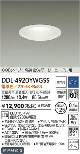 DDL-4920YWGSS d@ pLED_ECg 125  dF