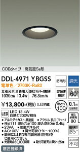 DDL-4971YBGSS d@ pLED_ECg 100  dF