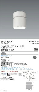 EFG5339W �����Ɩ� �V�[�����O���C�g 7500�^�C�v 5000K �����F ��225 ���L�p