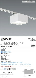 EFG5438W �����Ɩ� �V�[�����O�v���O�t 3000�^�C�v 4000K ���F ��225