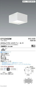 EFG5450W �����Ɩ� �V�[�����O���C�g 3000�^�C�v 4000K ���F ��225 ���L�p