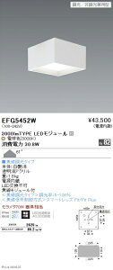 EFG5452W �����Ɩ� �V�[�����O���C�g 3000�^�C�v 3000K �d���F ��225 ���L�p