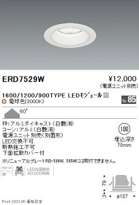 ERD7529W �����Ɩ� Rs�x�[�X�_�E�����C�g ��100 R1600�E1200�E900�^�C�v 3000K �d���F�y�d�����j�b�g�ʔ��z