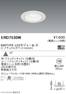 �y�@��o�����m�zERD7530W �����Ɩ� Rs�x�[�X�_�E�����C�g ��100 R600�^�C�v 4000K ���F�y�d�����j�b�g�ʔ��z�y���X�ܕ����i�z