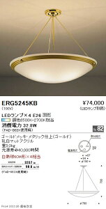 ERG5245KB �����Ɩ� �V�[�����O�y�����v�ʔ��z