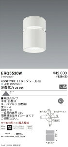 ERG5530W �����Ɩ� Rs �V�[�����O���C�g R4000�^�C�v 5000K
