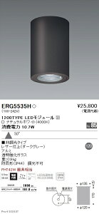ERG5535H 遠藤照明 Rs 軒下シーリングライト R1200タイプ 4000K