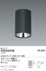 ERG5553B Ɩ JDRV[O_E ʃR[  600lmyvʔz