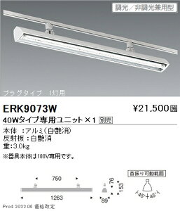 ERK9073W Ɩ X|bgCgvO TUBE40W×1yjbgʔz