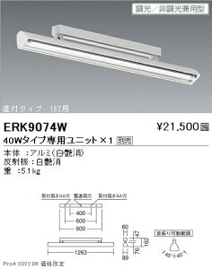 ERK9074W Ɩ X|bgCgtW TUBE40W×1yjbgʔz