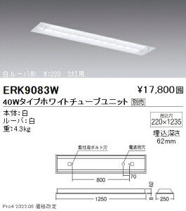 ERK9083W Ɩ x[XFL TUBE40W×2yjbgʔz