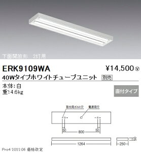ERK9109WA Ɩ tʊJ`40W^Cv×2yjbgʔz
