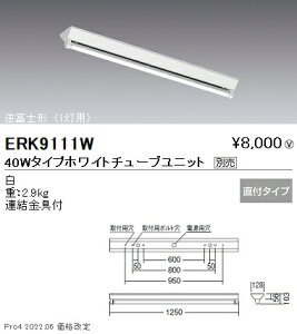 ERK9111W Ɩ txm`V1 40W^Cv×1yjbgʔz