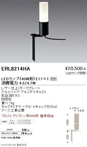 ERL8214HA 遠藤照明 庭園灯 筒形長ガラス スパイク式 ダークグレー E17×1【ランプ別売】