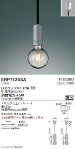 ERP7125SA �����Ɩ� �y���_���g�R�[�h�݂�t�����W�^�C�v�y�����v�ʔ��z