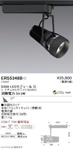 ERS5348B �����Ɩ� DUAL D300 4200K �L�p �񒲌�