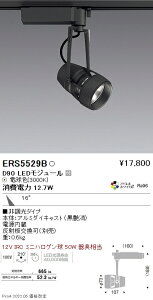 ERS5529B �����Ɩ� DUAL D90 3000K ���p �񒲌�