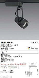 ERS5536B �����Ɩ� DUAL D90 3000K �L�p �񒲌�