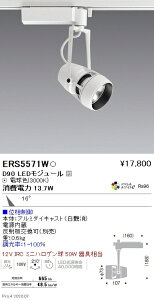 ERS5571W Ɩ DUAL D90 3000K p ʑ