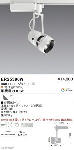 ERS5596W Ɩ DUAL D60 2800K Lp 񒲌