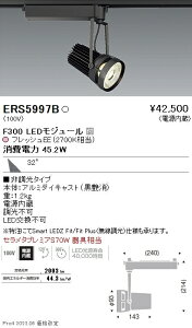 ERS5997B �����Ɩ� ���N�X�|�b�g���C�g F300 �t���b�V��EE �L�p
