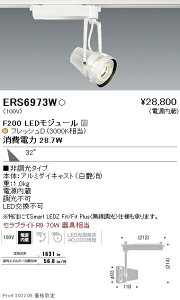 ERS6973W �����Ɩ� ���N�p�X�|�b�g���C�g F200 �t���b�V��D �L�p ��