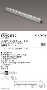 ERX9025SD Ɩ ԐڏƖ Nz L597mm 4000K 񒲌