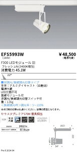 EFS5993W �����Ɩ� ���N�X�|�b�g���C�g �� F300 �t���b�V��N ���p