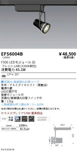 EFS6004B �����Ɩ� ���N�X�|�b�g���C�g �� F300 �t���b�V��NR �Z�`