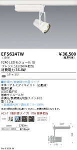 EFS6247W �����Ɩ� ���N�X�|�b�g���C�g �� F240 �t���b�V��E �Z�`