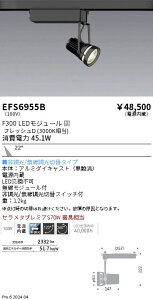 EFS6955B �����Ɩ� ���N�X�|�b�g���C�g �� F300 �t���b�V��D ���p