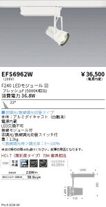 EFS6962W �����Ɩ� ���N�X�|�b�g���C�g �� F240 �t���b�V��F ���p