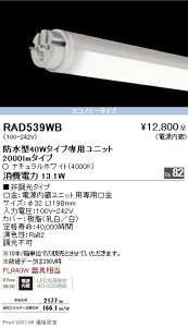 RAD539WB Ɩ hTUBE 40W` 2000lm^Cv 4000KyugpszyK@풍Ӂz