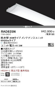 RAD835N Ɩ SOLID 40W×2 6900lm 5000K