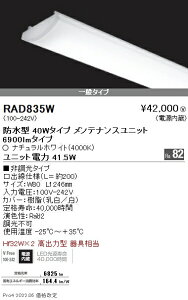 RAD835W Ɩ SOLID 40W×2 6900lm 4000K