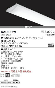 RAD836W Ɩ SOLID 40W×2 5200lm 4000K